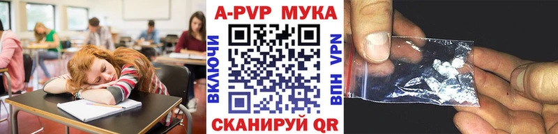Купить где  Карабулак  Alfa_PVP крисы CK 
