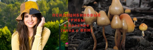 ALPHA-PVP Медногорск