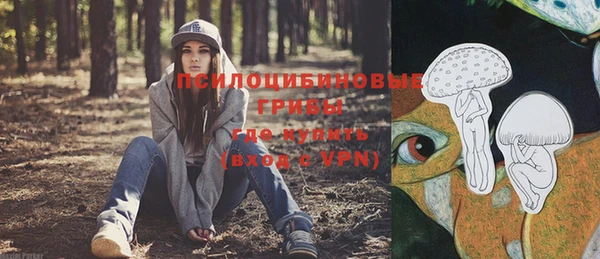 ALPHA-PVP Медвежьегорск
